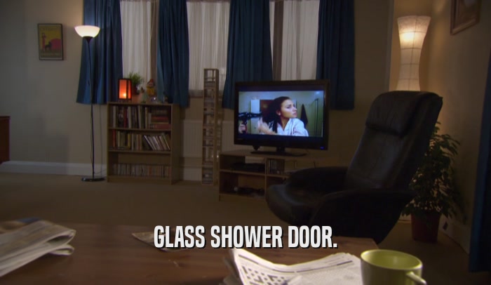 GLASS SHOWER DOOR.  