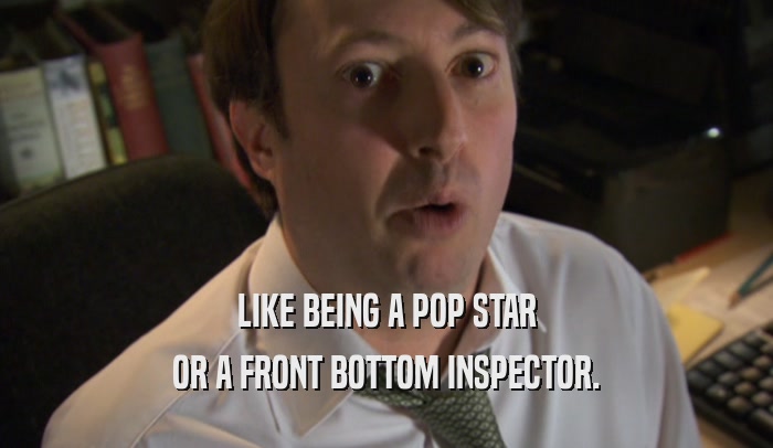 LIKE BEING A POP STAR OR A FRONT BOTTOM INSPECTOR. 