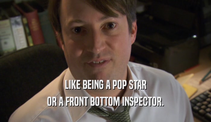 LIKE BEING A POP STAR OR A FRONT BOTTOM INSPECTOR. 