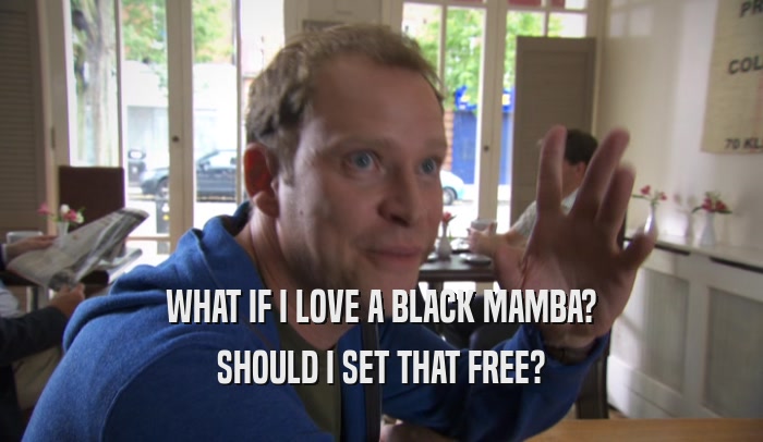 WHAT IF I LOVE A BLACK MAMBA? SHOULD I SET THAT FREE? 