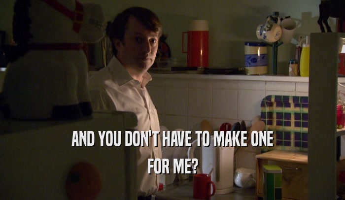 AND YOU DON'T HAVE TO MAKE ONE FOR ME? 