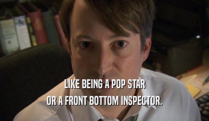 LIKE BEING A POP STAR OR A FRONT BOTTOM INSPECTOR. 
