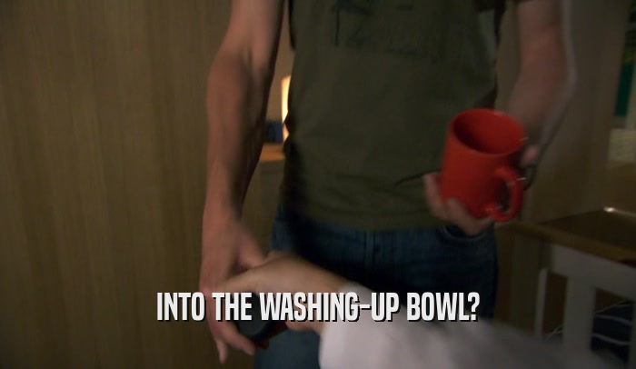 INTO THE WASHING-UP BOWL?  