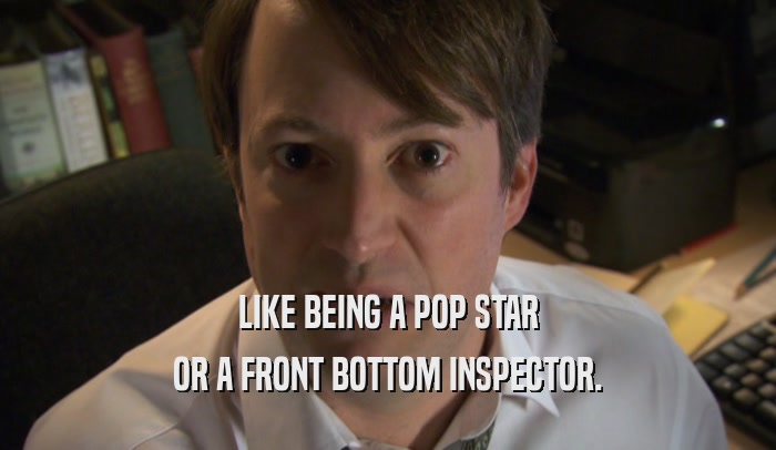 LIKE BEING A POP STAR OR A FRONT BOTTOM INSPECTOR. 