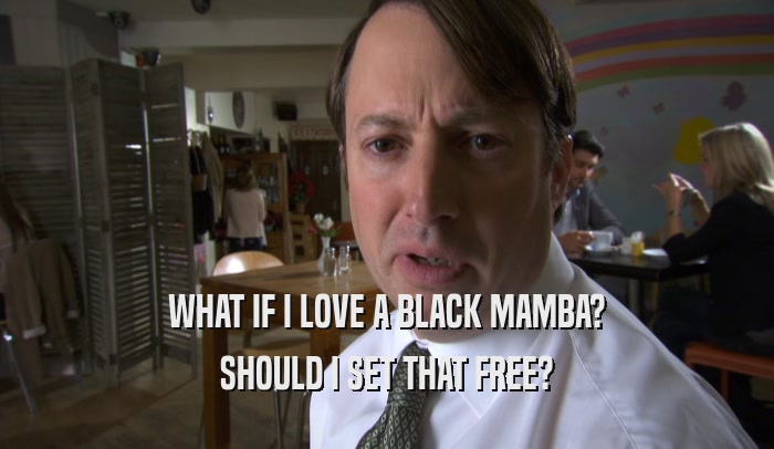 WHAT IF I LOVE A BLACK MAMBA? SHOULD I SET THAT FREE? 