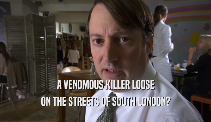 A VENOMOUS KILLER LOOSE ON THE STREETS OF SOUTH LONDON? 