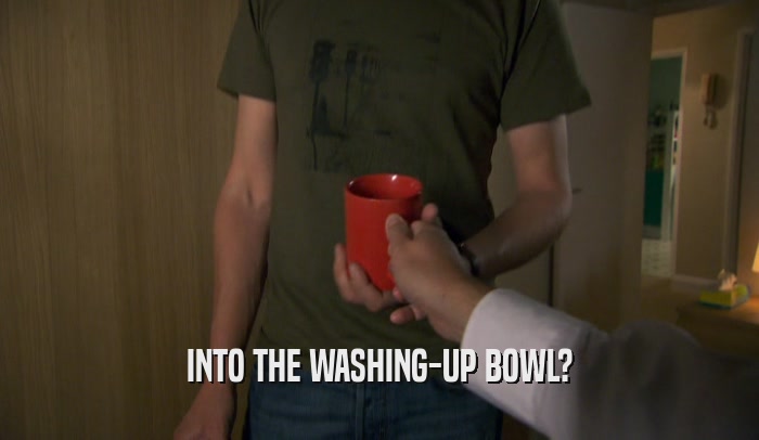 INTO THE WASHING-UP BOWL?  
