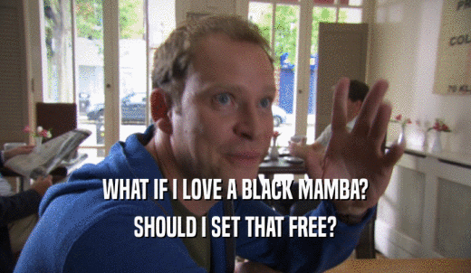 WHAT IF I LOVE A BLACK MAMBA? SHOULD I SET THAT FREE? 