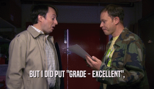 BUT I DID PUT 'GRADE - EXCELLENT',  