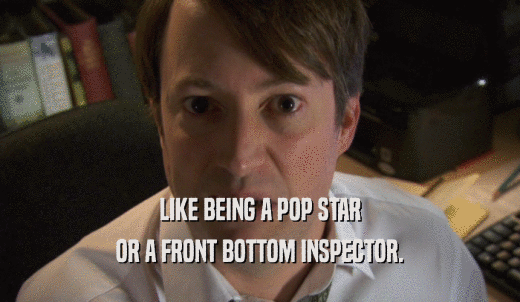 LIKE BEING A POP STAR OR A FRONT BOTTOM INSPECTOR. 