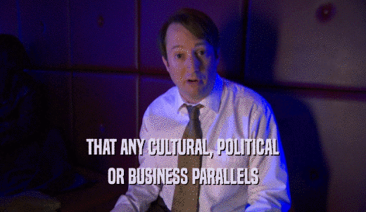 THAT ANY CULTURAL, POLITICAL OR BUSINESS PARALLELS 