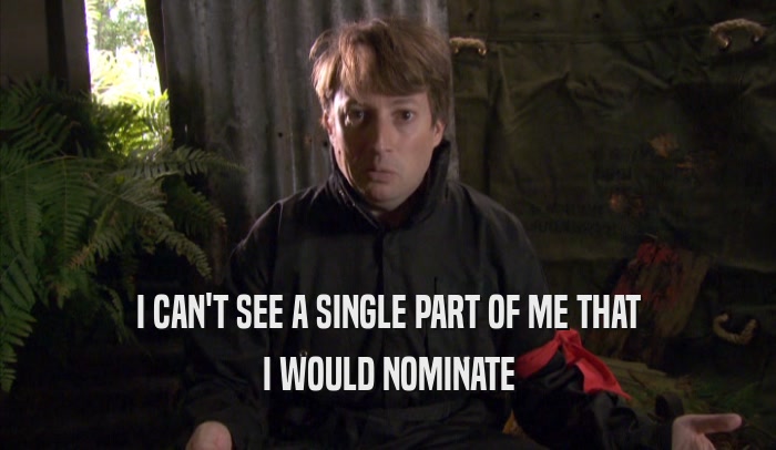 I CAN'T SEE A SINGLE PART OF ME THAT I WOULD NOMINATE 