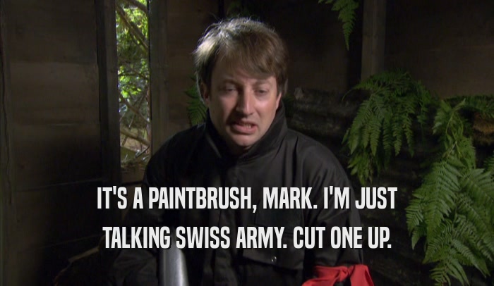 IT'S A PAINTBRUSH, MARK. I'M JUST TALKING SWISS ARMY. CUT ONE UP. 