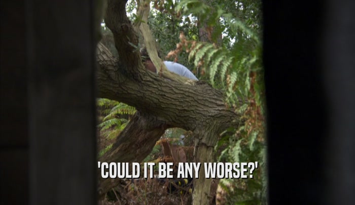 'COULD IT BE ANY WORSE?'  