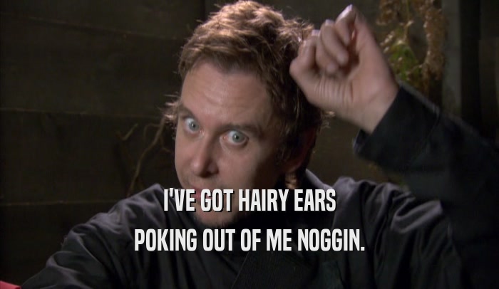 I'VE GOT HAIRY EARS POKING OUT OF ME NOGGIN. 