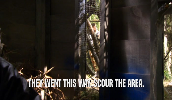 THEY WENT THIS WAY. SCOUR THE AREA.  