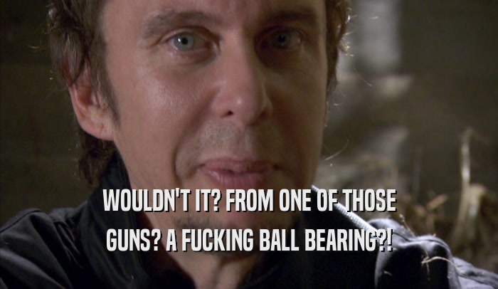 WOULDN'T IT? FROM ONE OF THOSE GUNS? A FUCKING BALL BEARING?! 