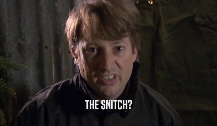 THE SNITCH?  