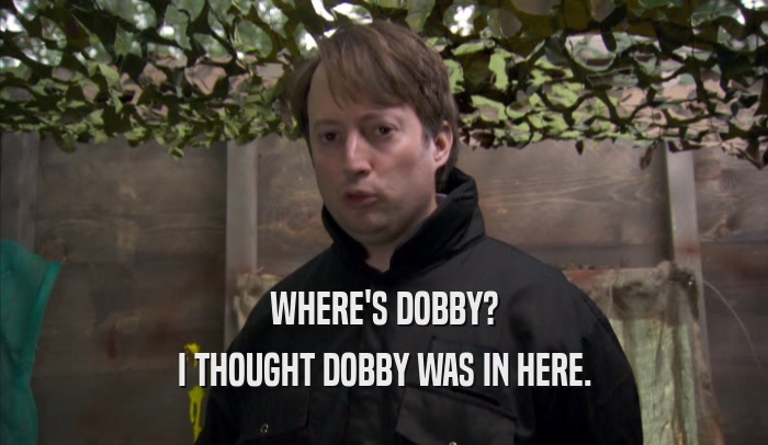 WHERE'S DOBBY? I THOUGHT DOBBY WAS IN HERE. 