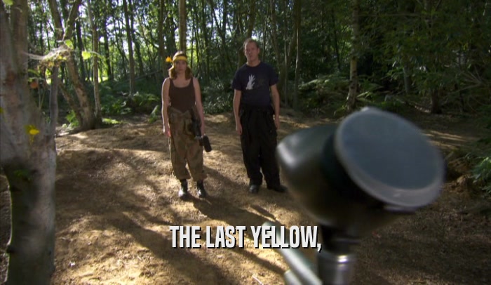THE LAST YELLOW,  