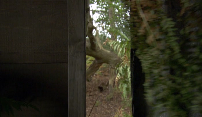 'OH... FORCE 10 POO FROM NAVARONE?' 