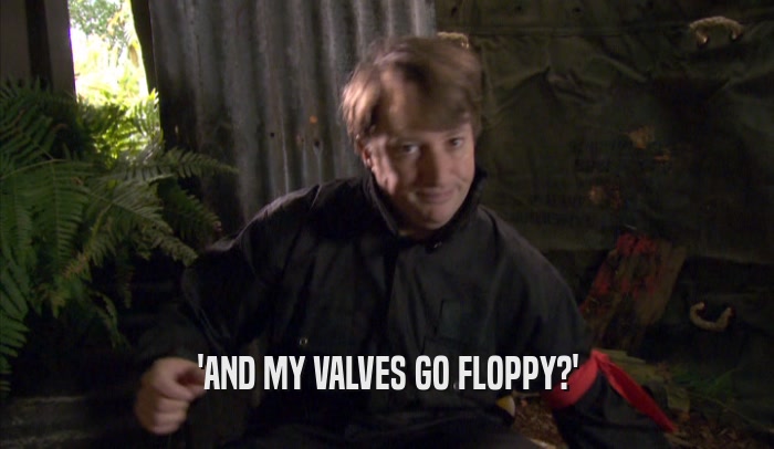'AND MY VALVES GO FLOPPY?'  
