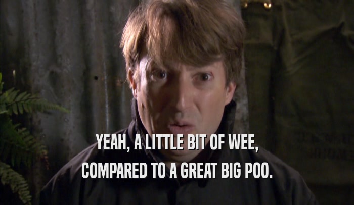 YEAH, A LITTLE BIT OF WEE, COMPARED TO A GREAT BIG POO. 