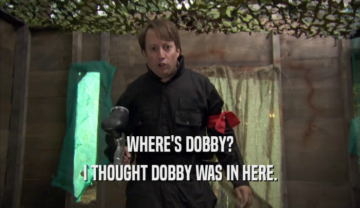 WHERE'S DOBBY? I THOUGHT DOBBY WAS IN HERE. 