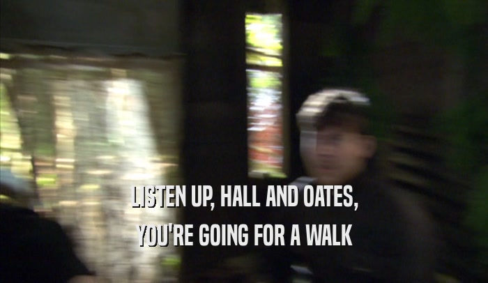 LISTEN UP, HALL AND OATES, YOU'RE GOING FOR A WALK 