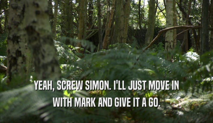 YEAH, SCREW SIMON. I'LL JUST MOVE IN WITH MARK AND GIVE IT A GO. 