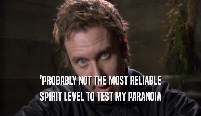 'PROBABLY NOT THE MOST RELIABLE SPIRIT LEVEL TO TEST MY PARANOIA SPIRIT LEVEL TO TEST MY PARANOIA