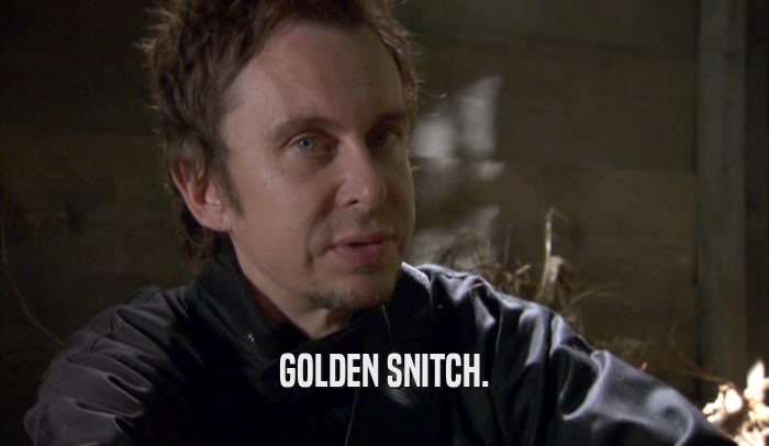 GOLDEN SNITCH.  