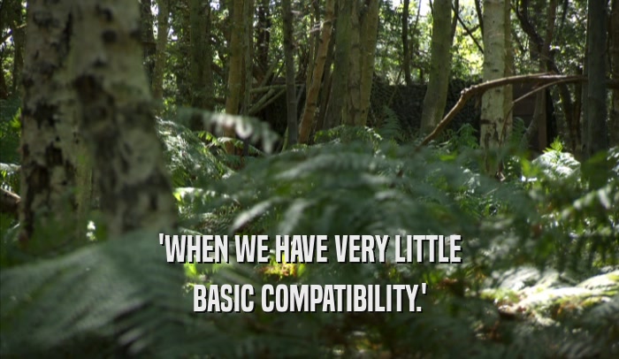 'WHEN WE HAVE VERY LITTLE BASIC COMPATIBILITY.' 