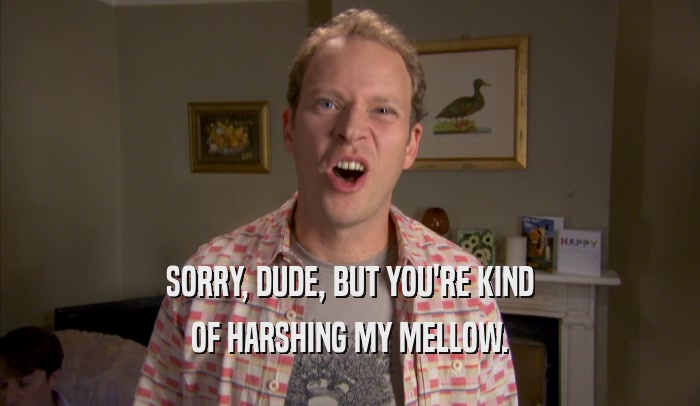 SORRY, DUDE, BUT YOU'RE KIND OF HARSHING MY MELLOW. 