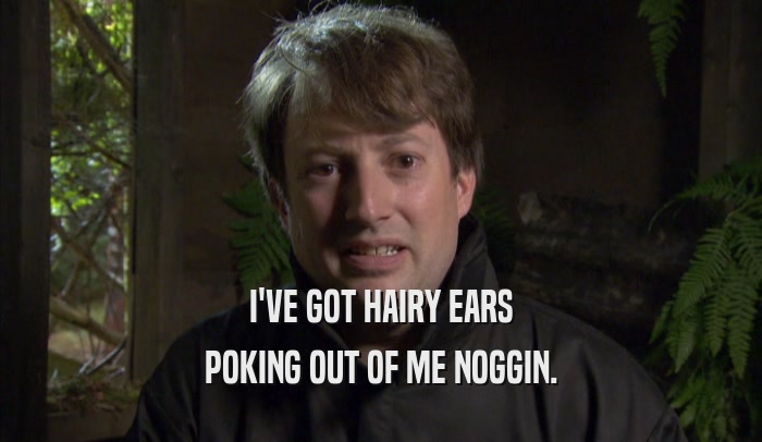 I'VE GOT HAIRY EARS POKING OUT OF ME NOGGIN. 