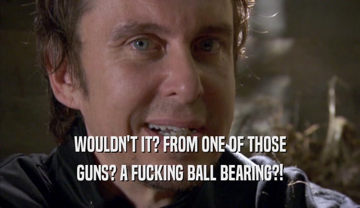 WOULDN'T IT? FROM ONE OF THOSE GUNS? A FUCKING BALL BEARING?! 