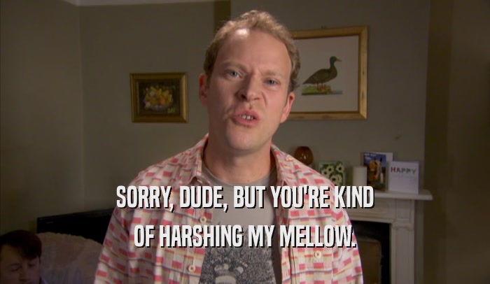 SORRY, DUDE, BUT YOU'RE KIND OF HARSHING MY MELLOW. 