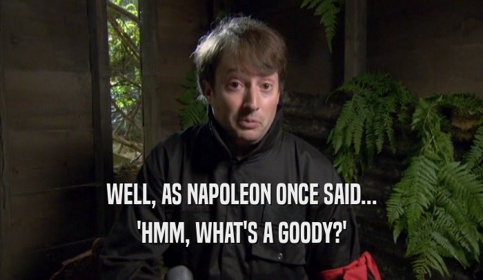 WELL, AS NAPOLEON ONCE SAID... 'HMM, WHAT'S A GOODY?' 