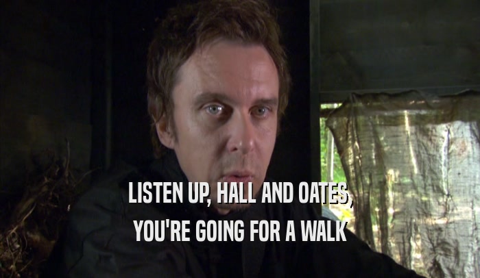 LISTEN UP, HALL AND OATES, YOU'RE GOING FOR A WALK 