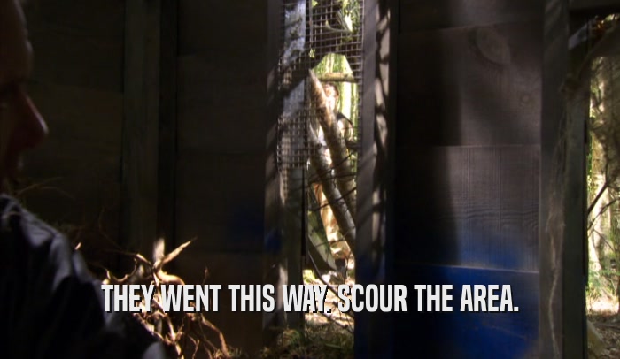 THEY WENT THIS WAY. SCOUR THE AREA.  