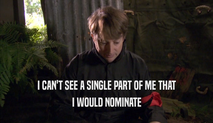 I CAN'T SEE A SINGLE PART OF ME THAT I WOULD NOMINATE 