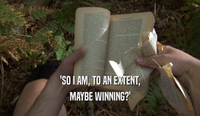 'SO I AM, TO AN EXTENT, MAYBE WINNING?' 