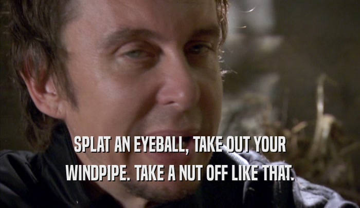 SPLAT AN EYEBALL, TAKE OUT YOUR WINDPIPE. TAKE A NUT OFF LIKE THAT. 