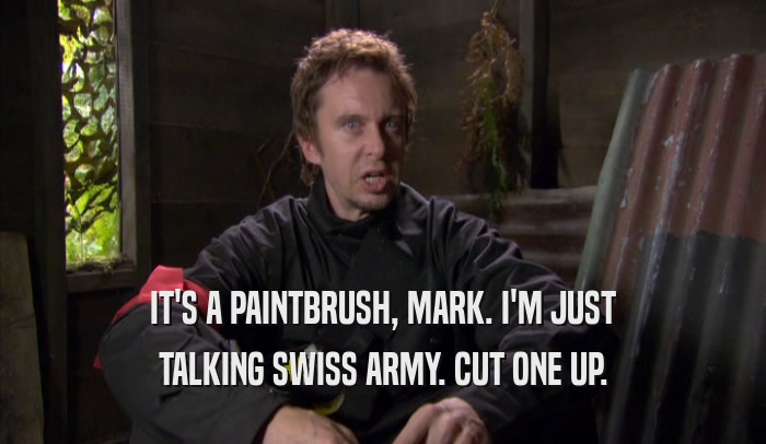 IT'S A PAINTBRUSH, MARK. I'M JUST TALKING SWISS ARMY. CUT ONE UP. 