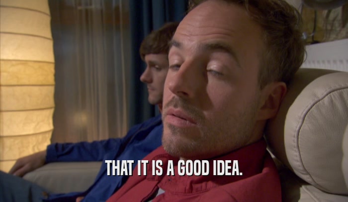 THAT IT IS A GOOD IDEA.  