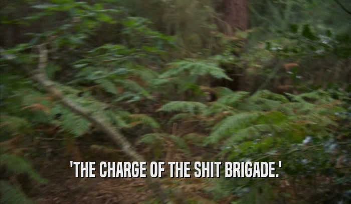 'THE CHARGE OF THE SHIT BRIGADE.'  
