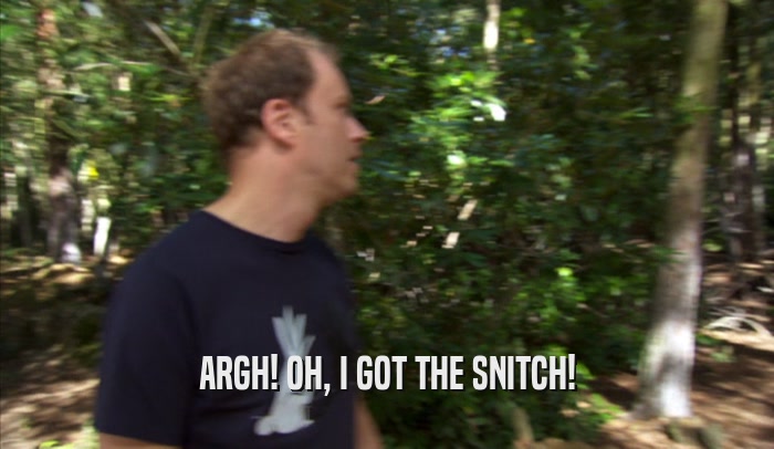ARGH! OH, I GOT THE SNITCH!  