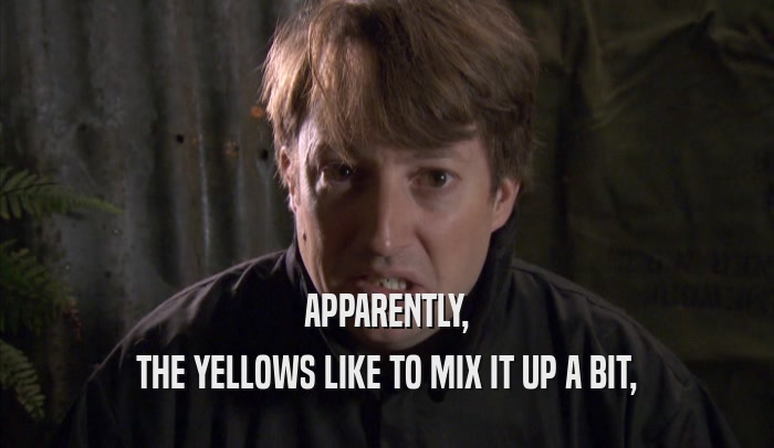APPARENTLY, THE YELLOWS LIKE TO MIX IT UP A BIT, 