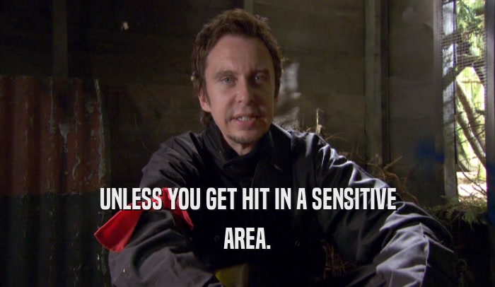 UNLESS YOU GET HIT IN A SENSITIVE AREA. 