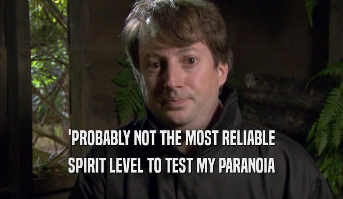 'PROBABLY NOT THE MOST RELIABLE SPIRIT LEVEL TO TEST MY PARANOIA SPIRIT LEVEL TO TEST MY PARANOIA